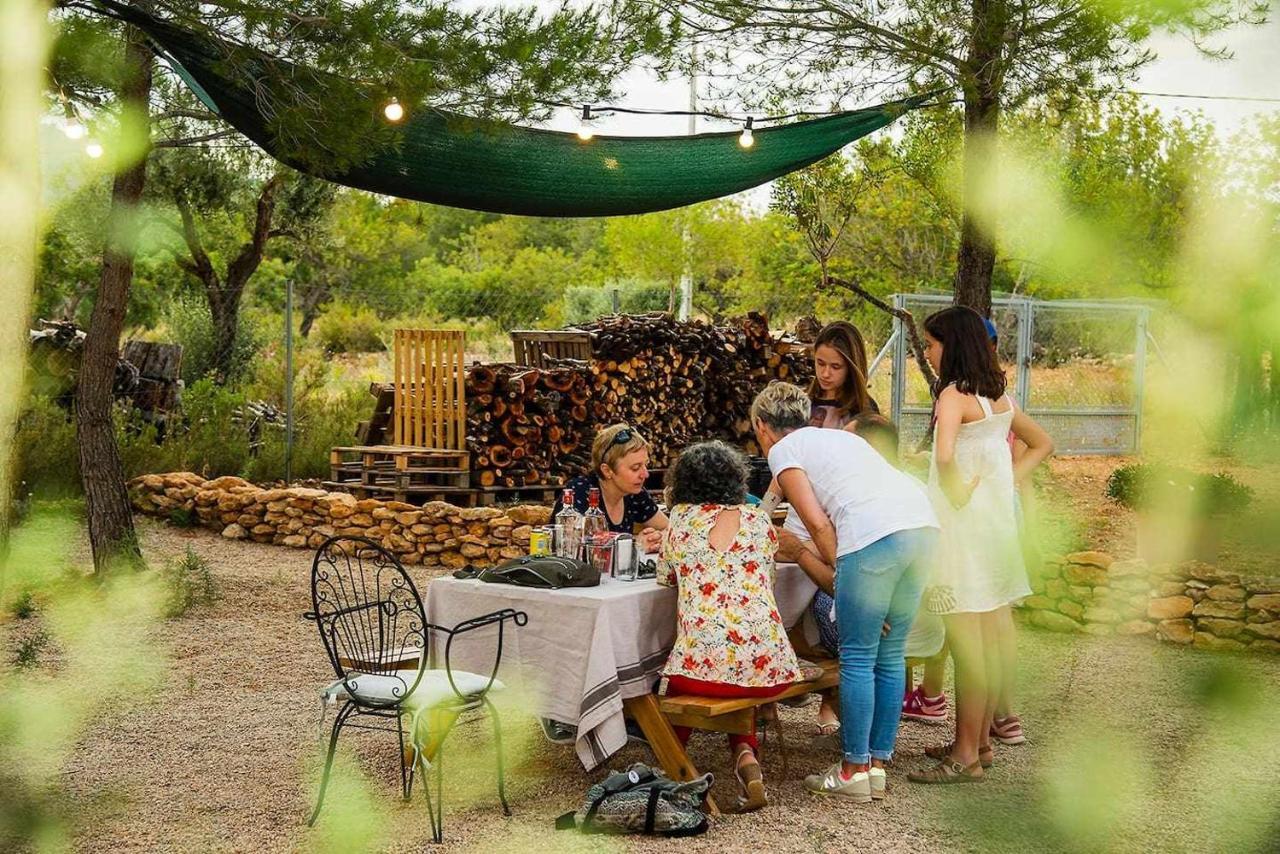 B&B Masia Aitona Vall d'Alba ภายนอก รูปภาพ